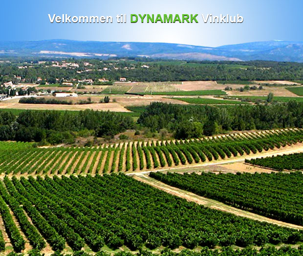 vinmarker_dynamark.jpg